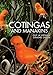 Cotingas and Manakins