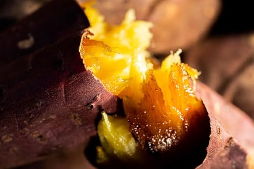 iOIMOjĂ b`XC[g Ⓚ 5{Zbg