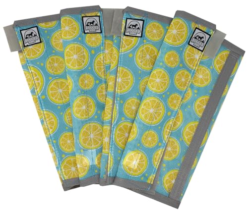 Rugged Ride Lemon Slices Stay UP Fly Boots - Set of 4