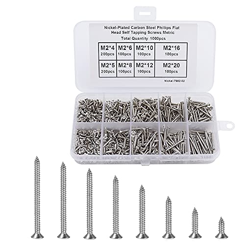 RtottiM 1000 Stück Blechschrauben Selbstschneidend Kohlenstoffstahl Silber Kreuzschlitzschrauben 4mm 5mm 6mm 8mm 10mm 12mm 16mm 20mm mit Aufbewahrungsbox Befestigung für Kunststoff Holz Weichmetall Cover