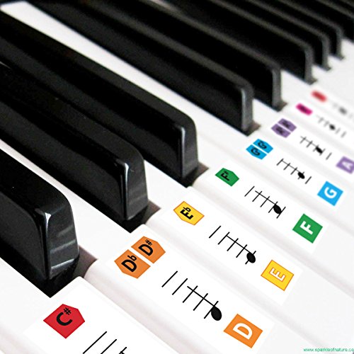 Best Keyboard To Learn Piano