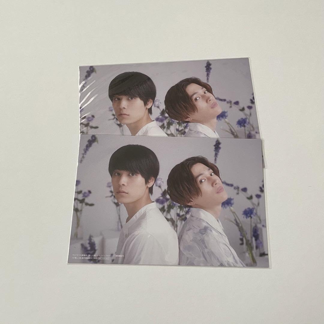 美しい彼 特典 ポストカード ブロマイド 萩原利久 八木勇征 美しい彼 特典 ポストカード ブロマイド 萩原利久 八木勇征 Amazon.co