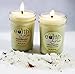 EarthGlo 100% Soy Candle Set ~ Two 8oz Jar Candles Lemongrass and Sandalwood ~Two Scented Candles in Gift Box! A Delicious Duo of Soy Candles with Lead Free Cotton Core Wicks!