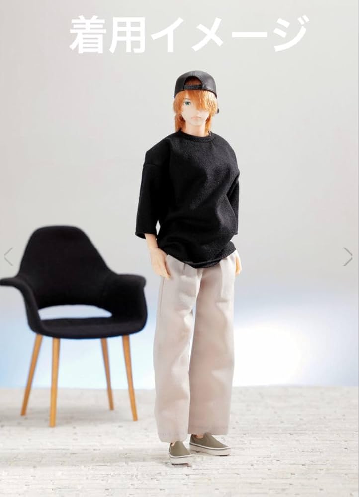 六分の一男子図鑑　アウトフィット② Amazon.co.jp: ペットワークス 六分の一男子図鑑 ノームコア