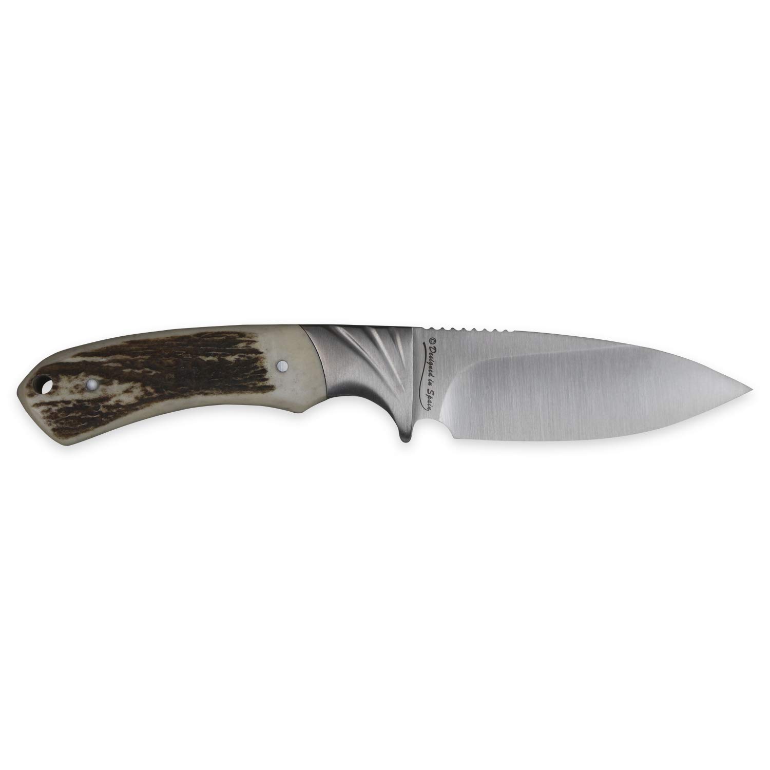 iFIELD Cuchillo de caza deportivo Camper EL29019, hoja 10,8 cms, grosor 3,8 mm, total 22,8 cm, mango de ciervo, con funda de piel, herramienta de camping para pesca, caza, actividad deportiva