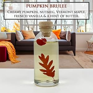 Urban Naturals Pumpkin Brulee Scented Sticks Reed Diffuser Oil Set Fall Winter Home Scent Creamy Pumpkin Pie Nutmeg French Vanilla Beautiful Autumn Home Decor Great Gift Idea