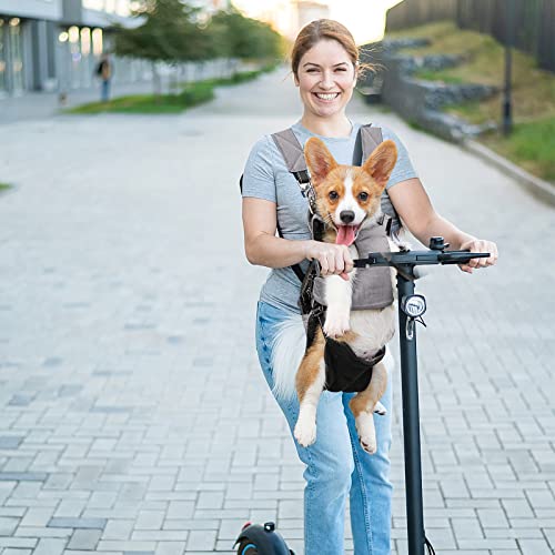 PETCUTE 5-in-1 Pet Carrier Rugzak voor katten en kleine honden, ademende hondendrager rugzak met breder handvat, multifunctioneel, verstelbare handsfree reisrugzak voor kleine middelgrote honden - Afbeelding 3