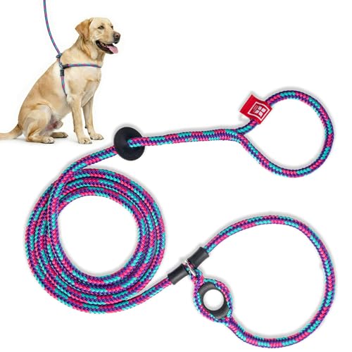 Harness Lead No Pull Dog Harness and Leash Set, Anti Pull Dog Harness, One-Piece Cushioned Rope Safely Prevents Escaping and Pulling *New Insert is Removable (Medium/Large, Reef)