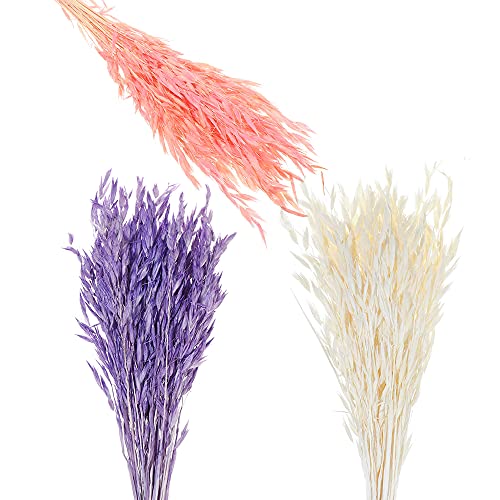 Pampas Grass Large 25pcs Natural Dried Wheat Ear miniatura 2