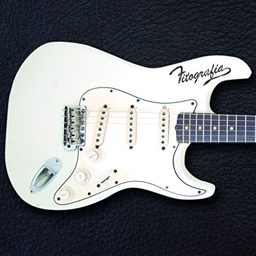 Fitografia (2 LP) [Vinilo]