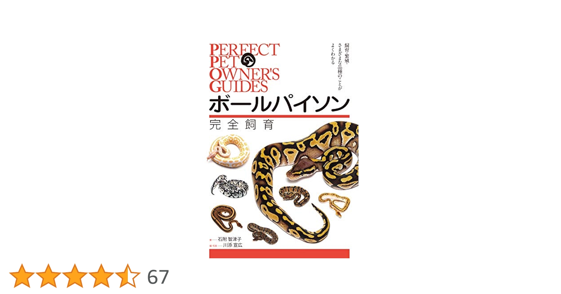 専用 PERFECT BALL PYTHON 宮内大輔著 2025年最新】パーフェクト