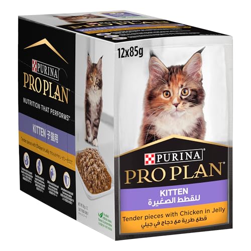 Purina Pro Plan Kitten with Chicken in Jelly Wet Cat Food 85g