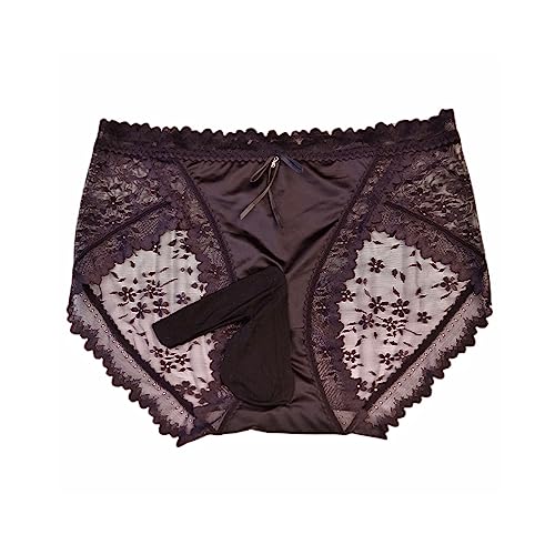 LESOYA Men's Sexy Sissy Satin Sheer Underwear Low Rise Boxer Briefs Lace Sheer Bikini Underwear with Sheath