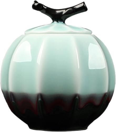 ONDIAN CHUNCIN - Urna pequeña conmemorativa para cenizas humanas, urna de cremación de cerámica, para perros, gatos, animales pequeños, urna