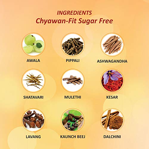 Baidyanath Asli Ayurved Nagpur Chyawan-Fit Sugarfree Chyawanprash(1 Kg), Pack of 1 - Image 5