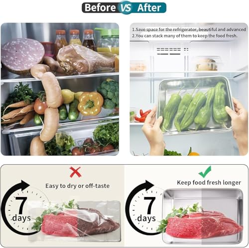 Image of Stainless Steel Food Storage Container 2000ML with Transparent Lid | Premium Food Grade Kitchen Storage Box for Meal Prep, Serving, Baking & Fridge Storage | Freezer & Dishwasher Safe (3)
