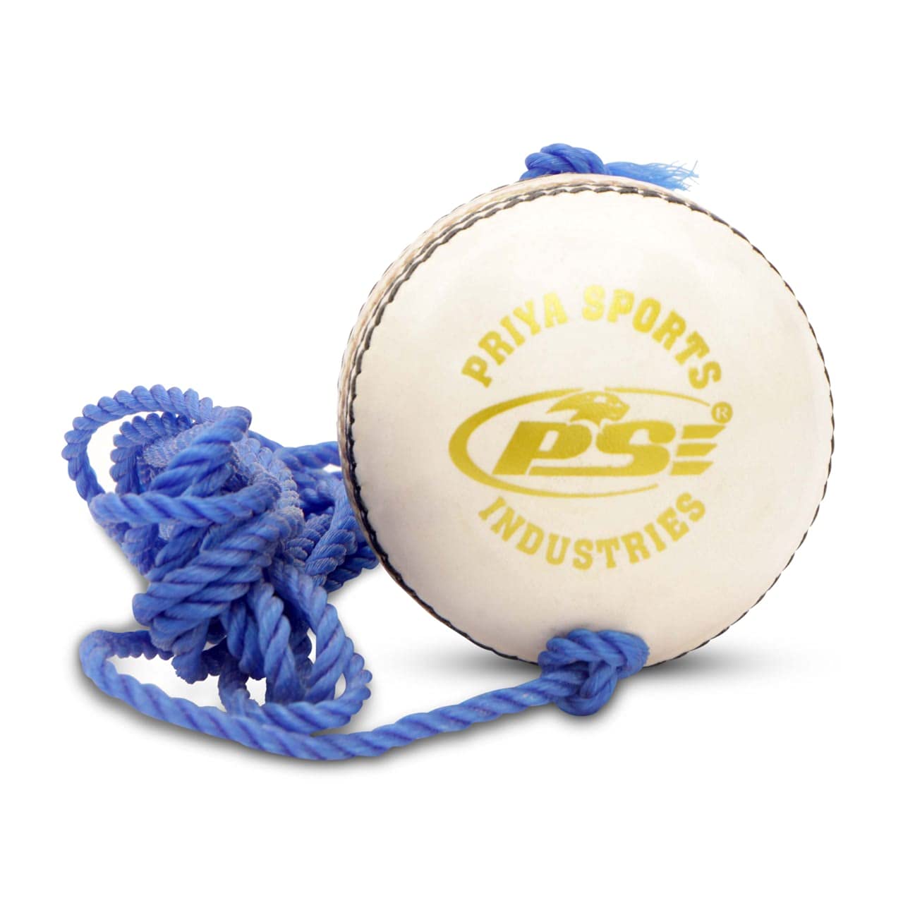 PSE Priya Sports Unisex White Leather Practice Hanging Cricket Ball (B07813J2V1) Amazon Price History, Amazon Price Tracker