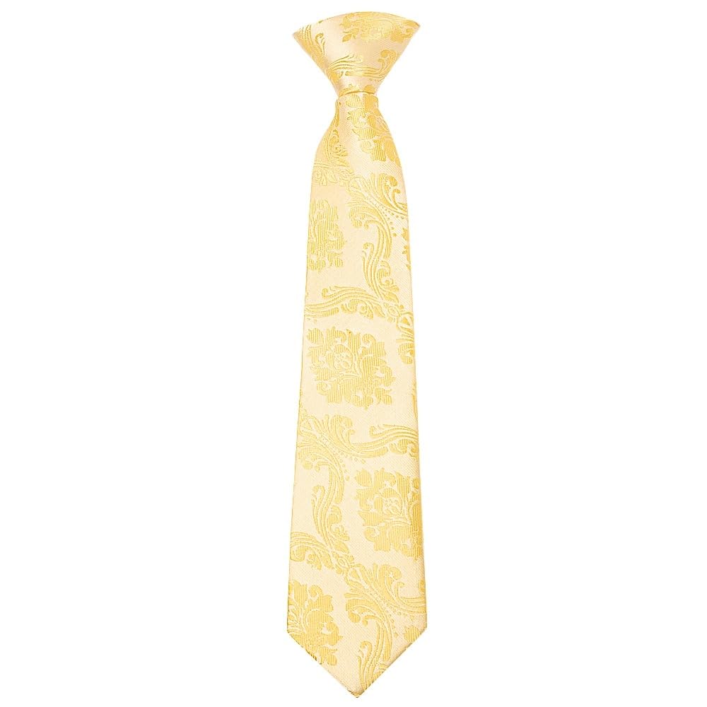 Ties R Us Boys Gold Pre Tied Paisley Tie Age 4-7