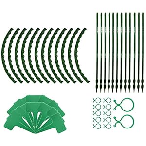 Niktule Set van 6 of 12 plantensteunpalen: halfronde strik, groen, natuurlijke bloemen-steunring, kooiframe, kunststof rooster, met elkaar verbonden tuinbegrenzing voor tomaten, hortensia, rozen
