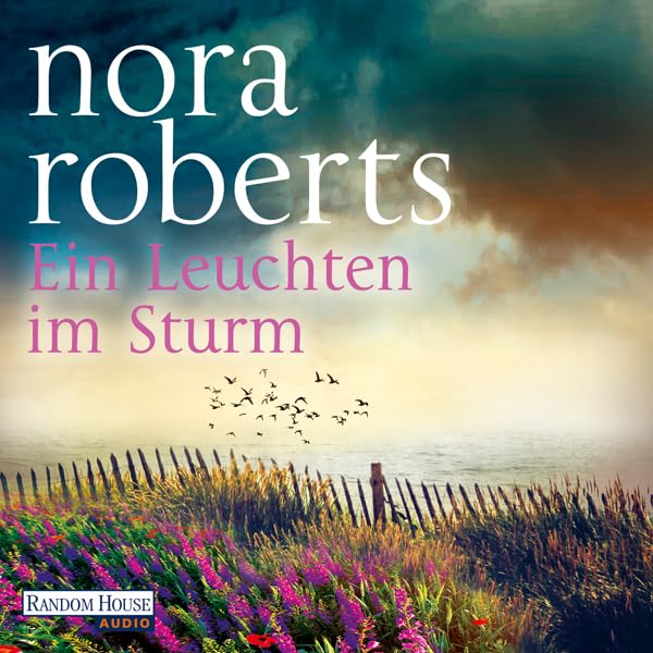 Cover art for Ein Leuchten im Sturm