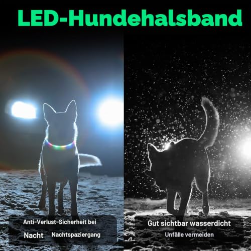 AUAUY LED Leuchthalsband Hund, Längenverstellbarer, Silikon, 4 Modus, Rosa – Ansicht 6