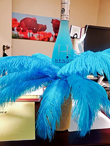 Sowder 20Pcs Natural 10-12Inch(25-30Cm) Ostrich Feathers Plume For Wedding Centerpieces Home Decoration(Turquoise) #TOP3