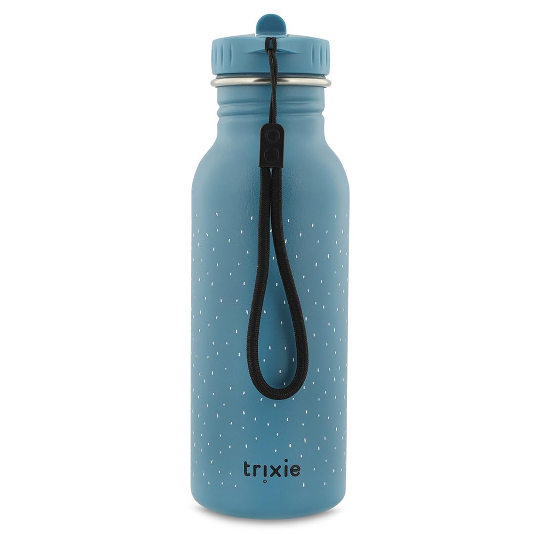 Trixie Baby Personalisierte Trinkflasche aus Edelstahl mit Gravur des Namens (Triceratops Dino, 500 ml)