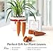 The Olla Company Plant Watering Spikes with Lids - Ideal for 5”-9” Pots - Vacation Friendly - Terracotta - Medium - Set of 4