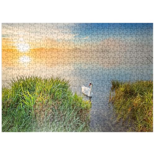 MyPuzzle iE߂̃[O[[̔Ɠ̏o - v~A500s[XWO\[pY lp