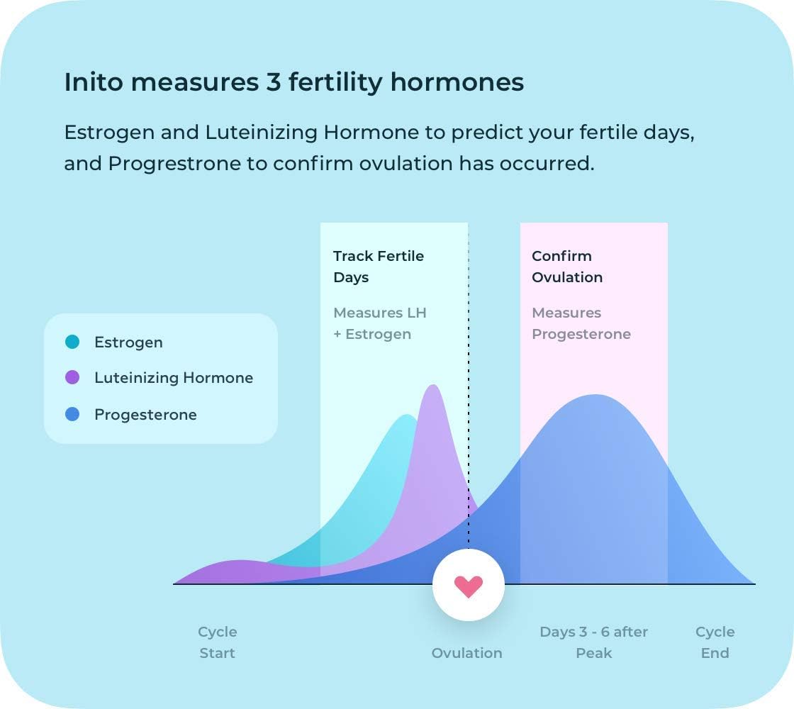 Buy Inito Track & Confirm Ovulation & Fertility Monitor Shows Actual