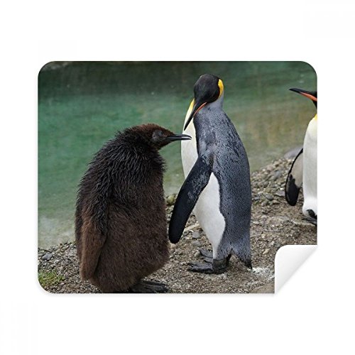 Sea Cold Antarctic Penguin Science Nature Picture Cleaning Cloth Screen Cleaner 2pcs Suede Fabric