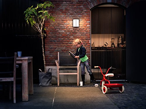 Philips Stock Lampada LED da Parete, Giardino ed