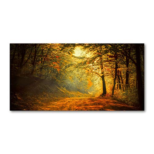 Fond de hotte 140x70cm parfait pour illuminer une cuisine ouverte avec un paysage d'automne