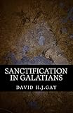 Sanctification in Galatians (Brachus Sanctification Series Book 1)