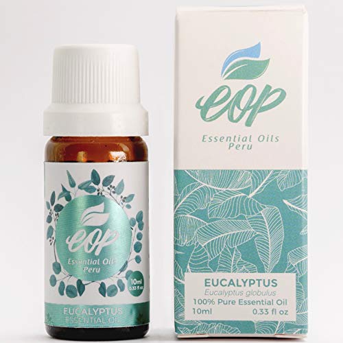 Wild Andean Eucalyptus Essential Oil. 100% Pure. Therapeutic Grade. 10ml (0.33 fl oz). Origin, Cusco, Peru.