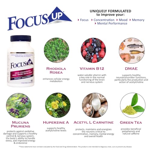 FocusUP Brain & Energy Support Supplement – Natural Nootropic Capsules with Acetyl L-Carnitine, Rhodiola, DMAE & Huperzine-A | Supports Focus, Memory, Mood & Mental Clarity | 45 Sugar-Free Capsules - Image 4