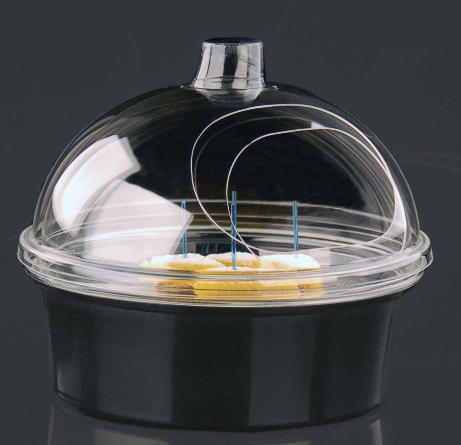 Juego de cúpula de muestra redonda de acrílico transparente para llevar a la porción 10 "x 9" H