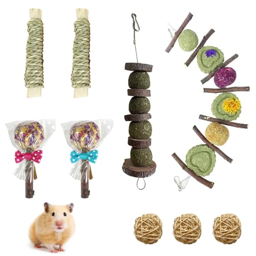 YBGGJO ハムスター 歯磨きボール 9点セット 無添加 天然 リンゴ木棒 かじり木 歯磨き ウサギ モルモット あそび道具 噛むおもちゃ ストレス解消 腸炎防止 運動不足解消 吊り下げ 齧り対策 餌 おやつ 小動物用