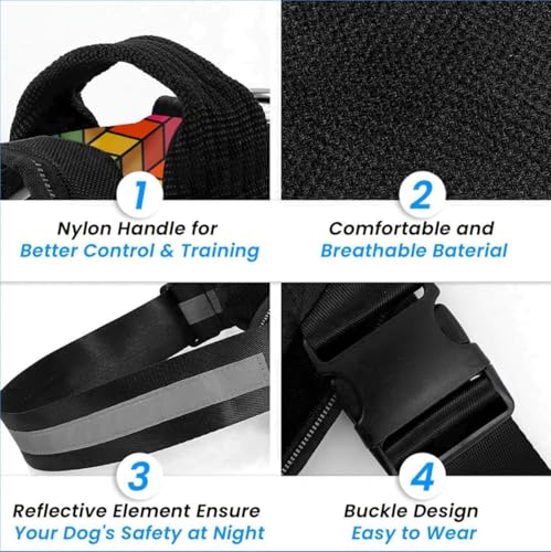 Image of Berlin's Police K9 Dog Harness with Leash, Dog Vest with Handle, Reflective Adjustable No-Pull Harness for Dogs Heavy Duty Nylon, for Training, Patrol, Hiking (Rainbow, Large (21-35Kg))