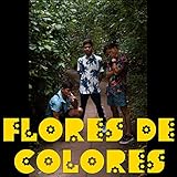 Flores de Colores