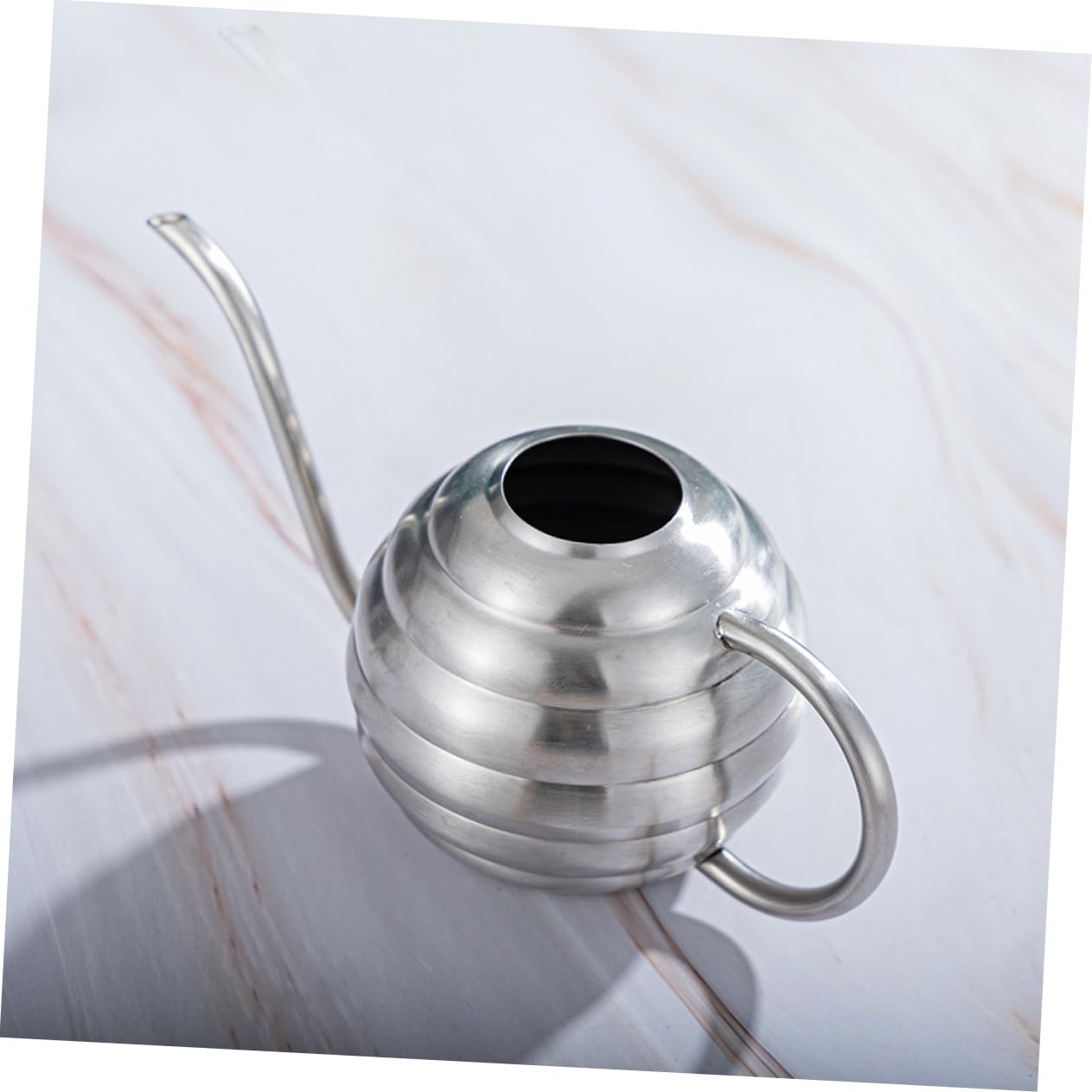 GALPADA Annaffiatoio Da Giardino in Acciaio Inox Irrigatore Beccuccio Per Piante Da Interno e Esterno Pratico Strumento Per Giardinaggio