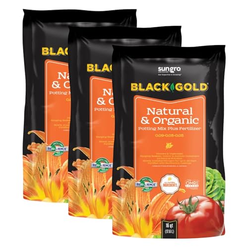 Black Gold Potting Soil - Organic Indoor/Outdoor Bulk - 16 Quart (3 Pack) - Earthworm Castings Pumice Sphagnum Peat Moss Perlite