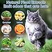 VITAFOR Cat Deterrent Outdoor, 10 Pack Natural Peppermint Oil Cat Deterrent Balls Outdoor Indoor Keep Cats Out of Yard Garden Lawn Prevent Scratch and Chew (Snow)