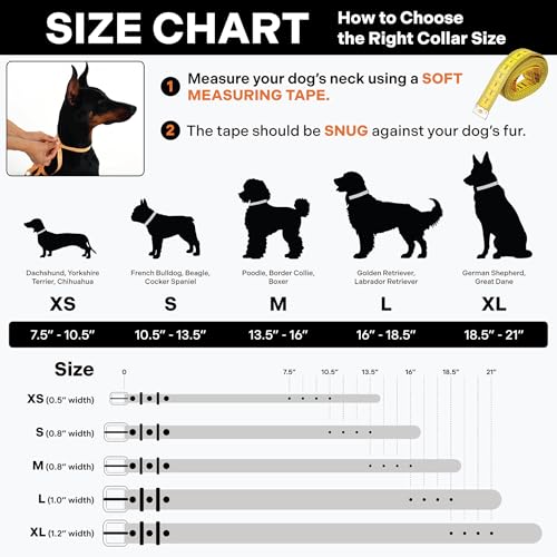 Image of Scout Supply Classic Leather Dog Collar | Heavy Duty Thick Full Grain Leather | Waterproof & Rust-Proof Brass Hardware | Dark Brown (S: 0.8 inch Wide for 10.5 inch-13.5 inch Neck)