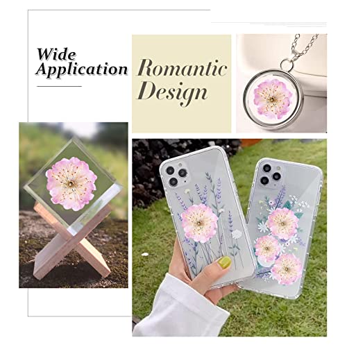 60 flores secas de cerezo prensadas rosas para manualidades miniatura 5