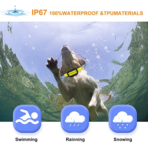 Gbgeffy Wireless Dog Fence, Wireless Dog Fence Covers Up To 247 Acre Waterproof Rechargeable Collar Harmless And Suitable For All Dogs Support 2 Dogs Collar Additional Two Reflective Stripe Collars #TOP3