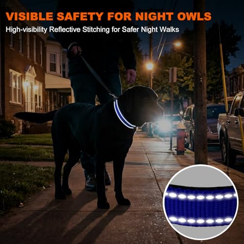 Image of Taglory Reflective Extra Large Dog Collar, Comfortable for Safe Night Walks