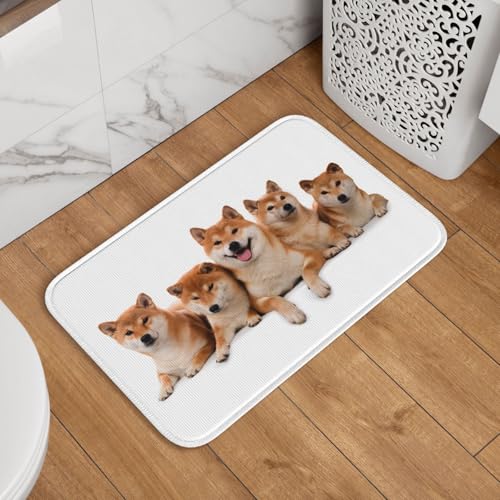 փ}bg Č    zCg 킢 hA}bg  O oX}bg  DƂ 􂦂 ~ @}bg  䏊 Q Ɩp lGʗp 60cm×40cm