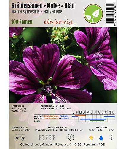 Jungepflanzen Semi di Erbe - Malva/Malva