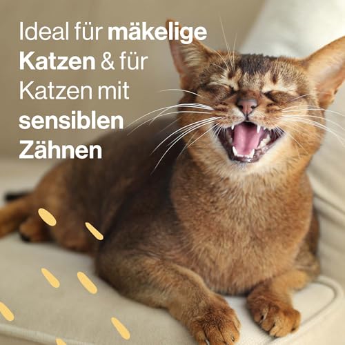 Pets Deli Nassfutter Silky Cream für Katzen mit Ente und Wachtelei - ohne Zucker und Getreide, 12x70g